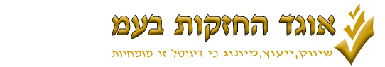 אוגד אחזקות